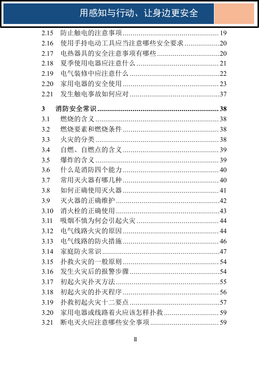 安全生产手册.docx 第5页