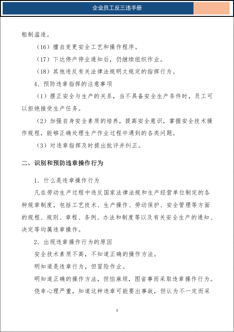 企业员工反三违手册_5.docx 第5页