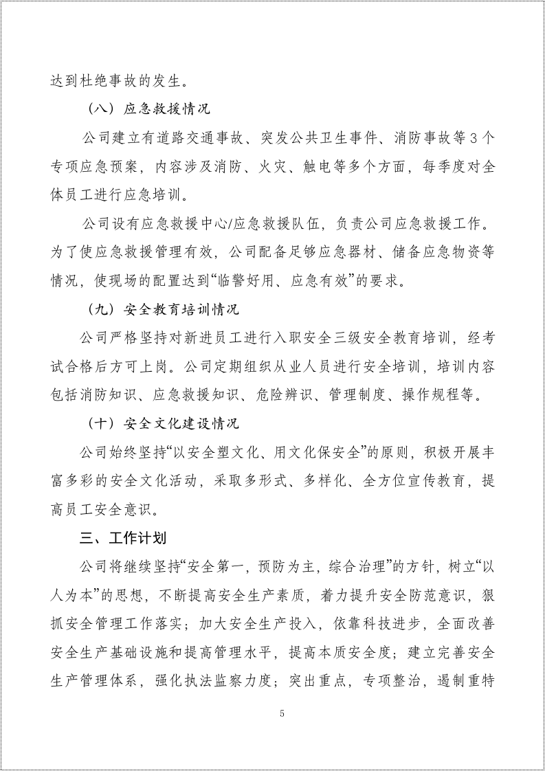 企业负责人安全生产履职报告.docx 第5页