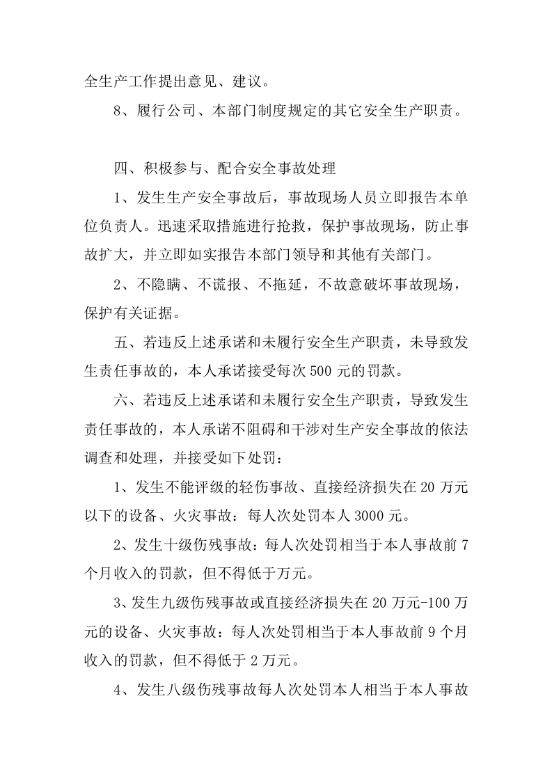 个人安全承诺书.docx 第4页