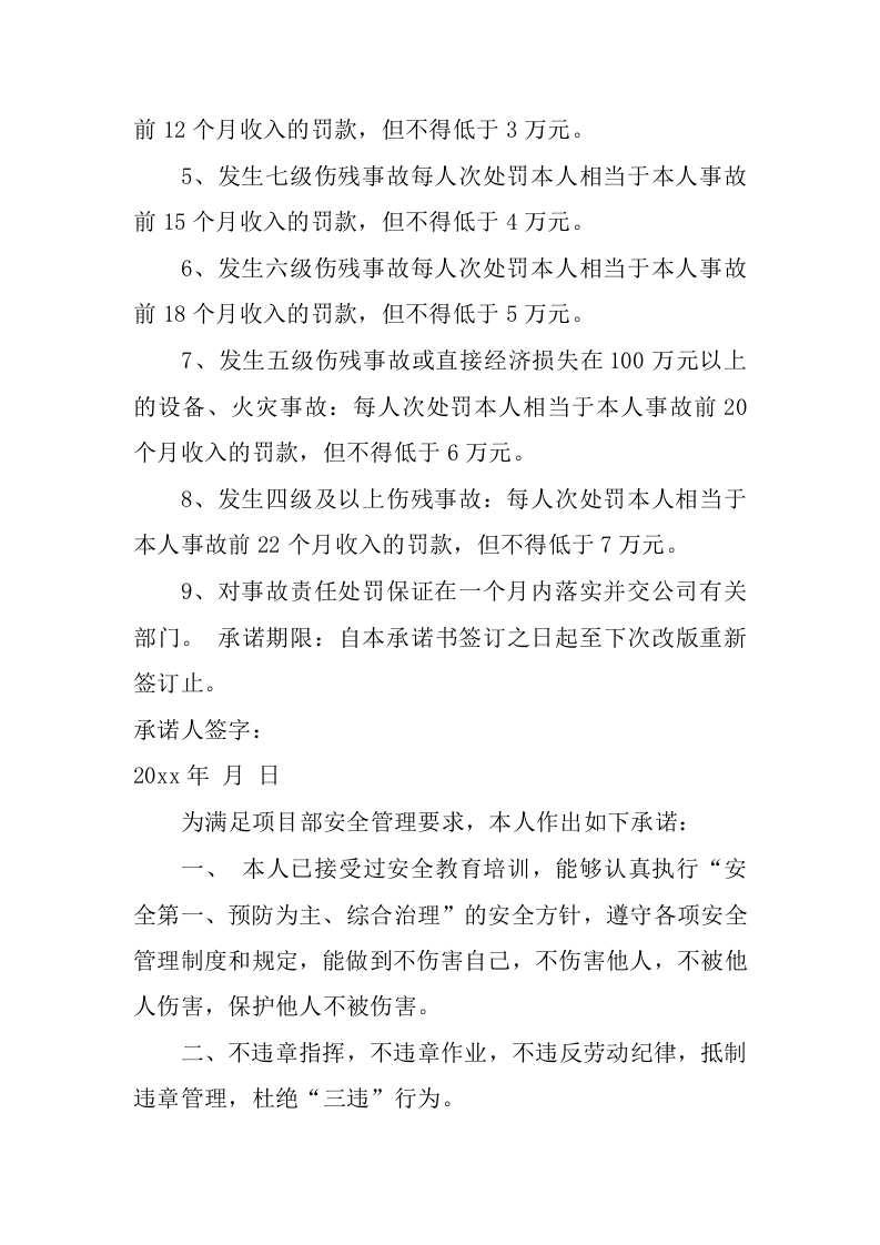 个人安全承诺书.docx 第5页