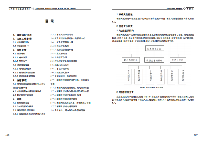 【应急预案】房地产有限公司（施工项目）生产安全事故应急处置方案.pdf 第2页