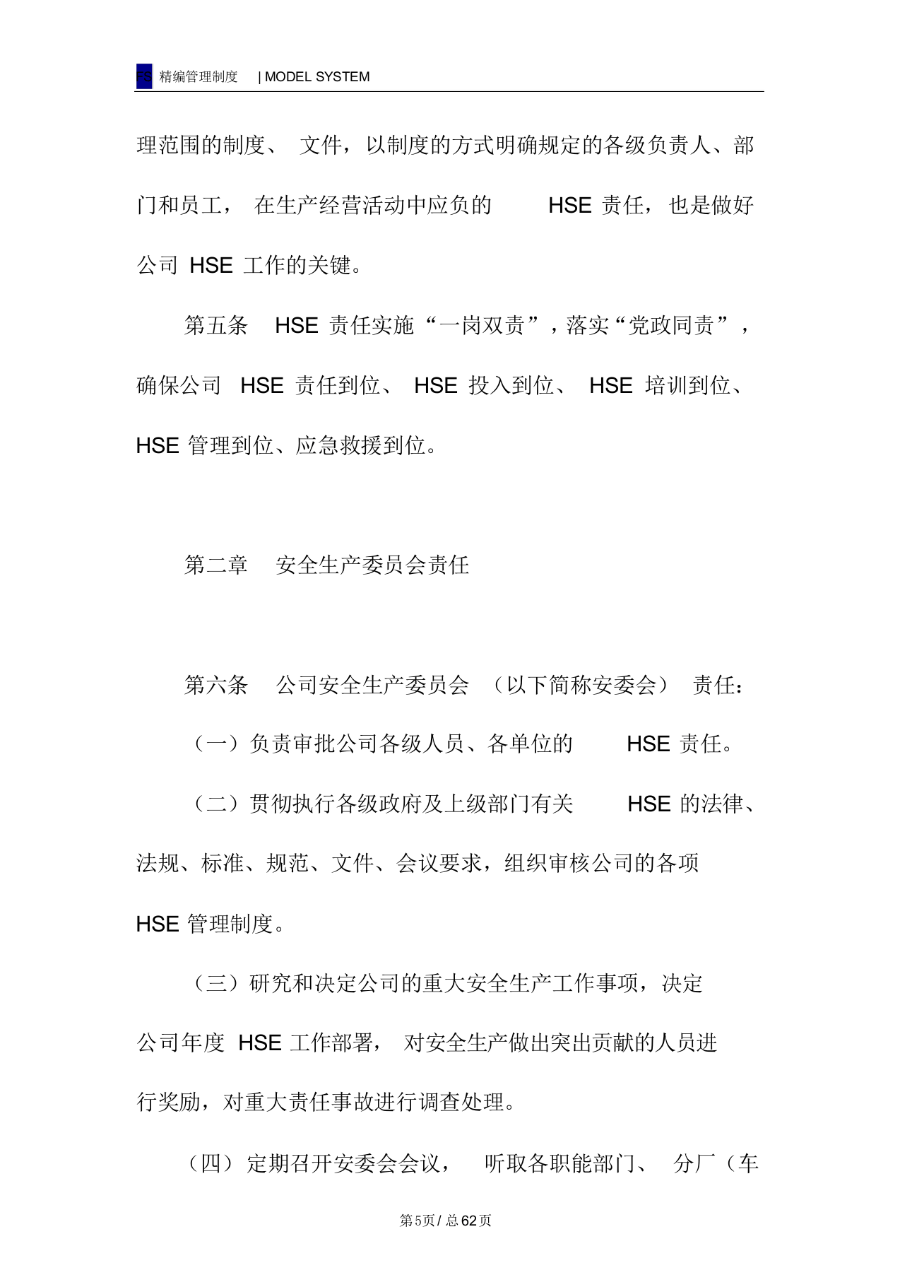 安全生产责任制管理规定（62页）.docx 第5页