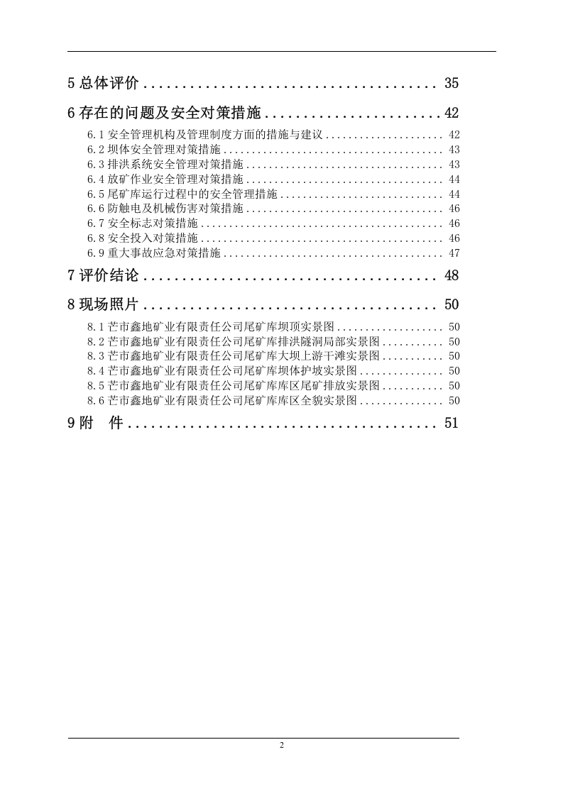 10.尾矿库安全验收评价.doc 第2页