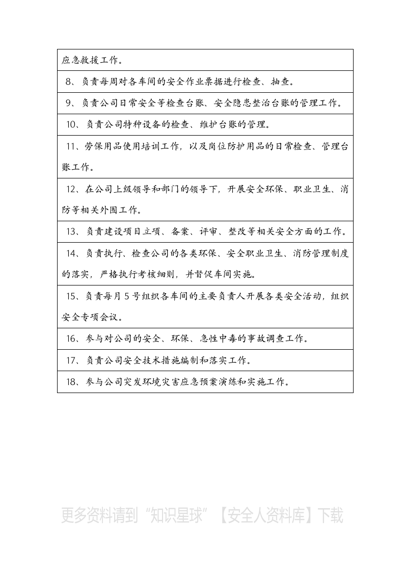 安环部各岗位职责（10页）.docx 第4页
