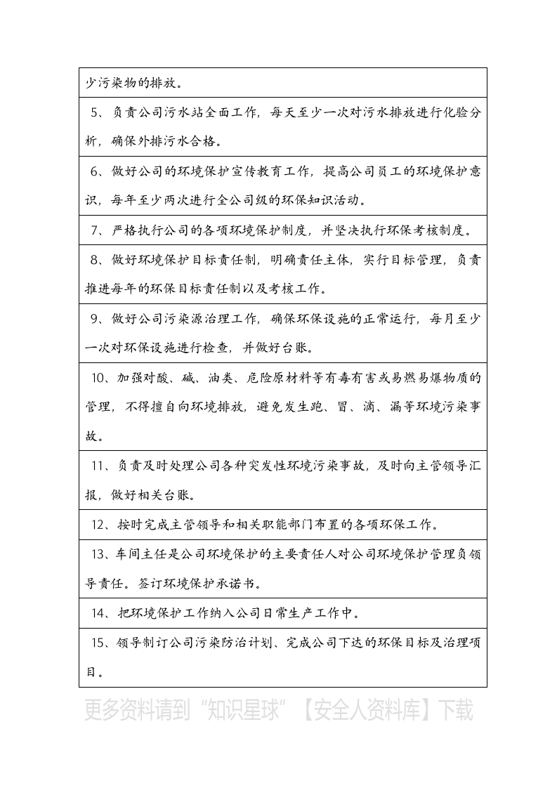 安环部各岗位职责（10页）.docx 第6页