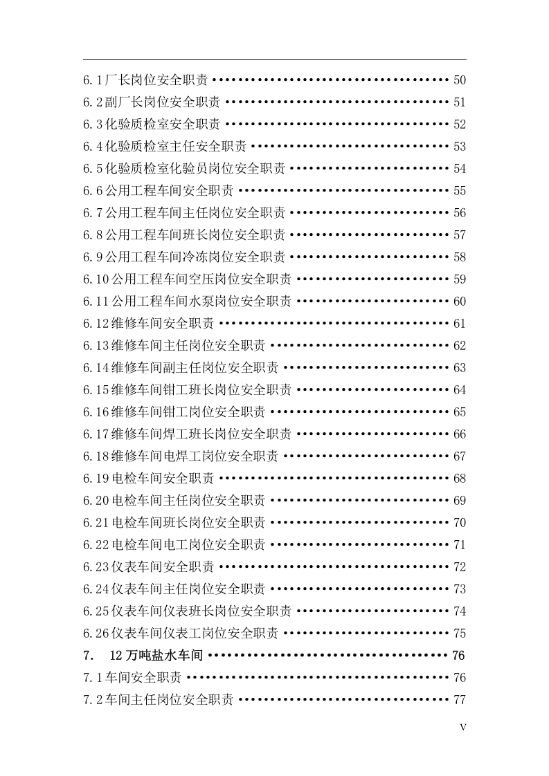 岗位安全职责汇编（437页）.docx 第5页