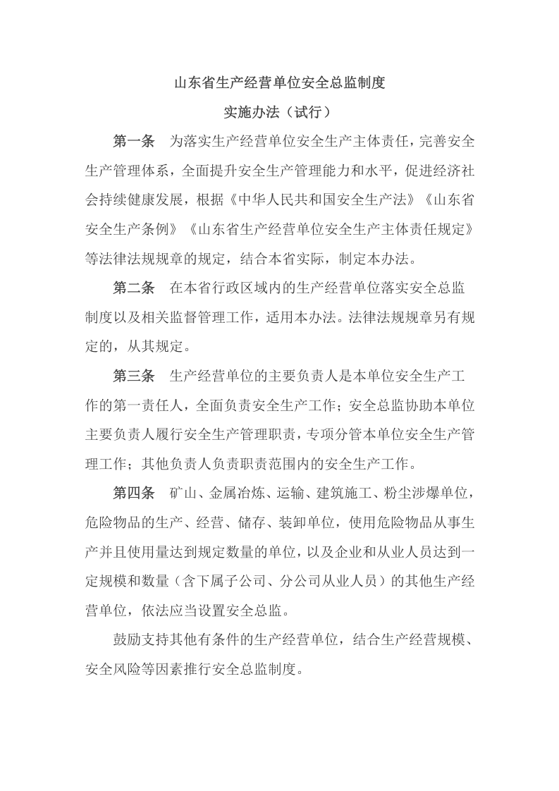 【安全总监文件】山东省《生产经营单位安全总监制度实施办法（试行）》.docx 第2页