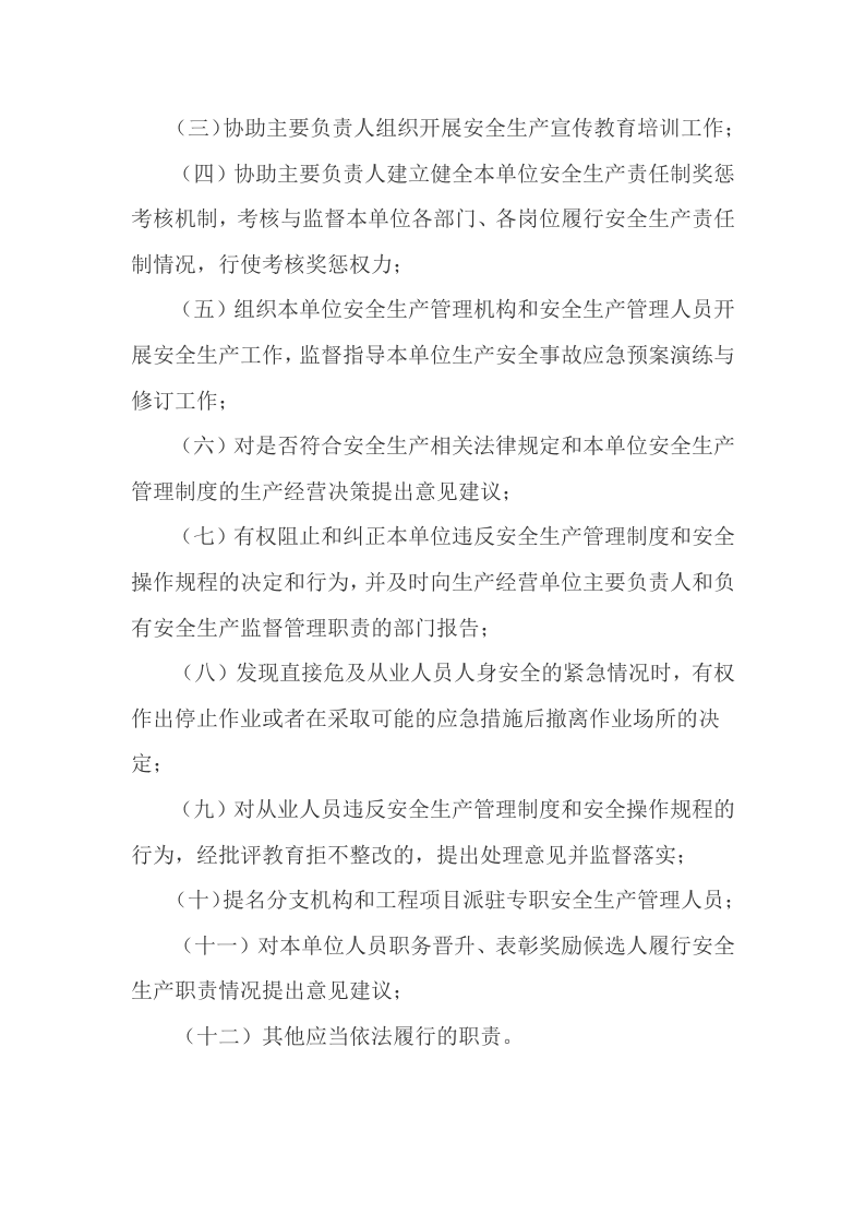 【安全总监文件】山东省《生产经营单位安全总监制度实施办法（试行）》.docx 第5页
