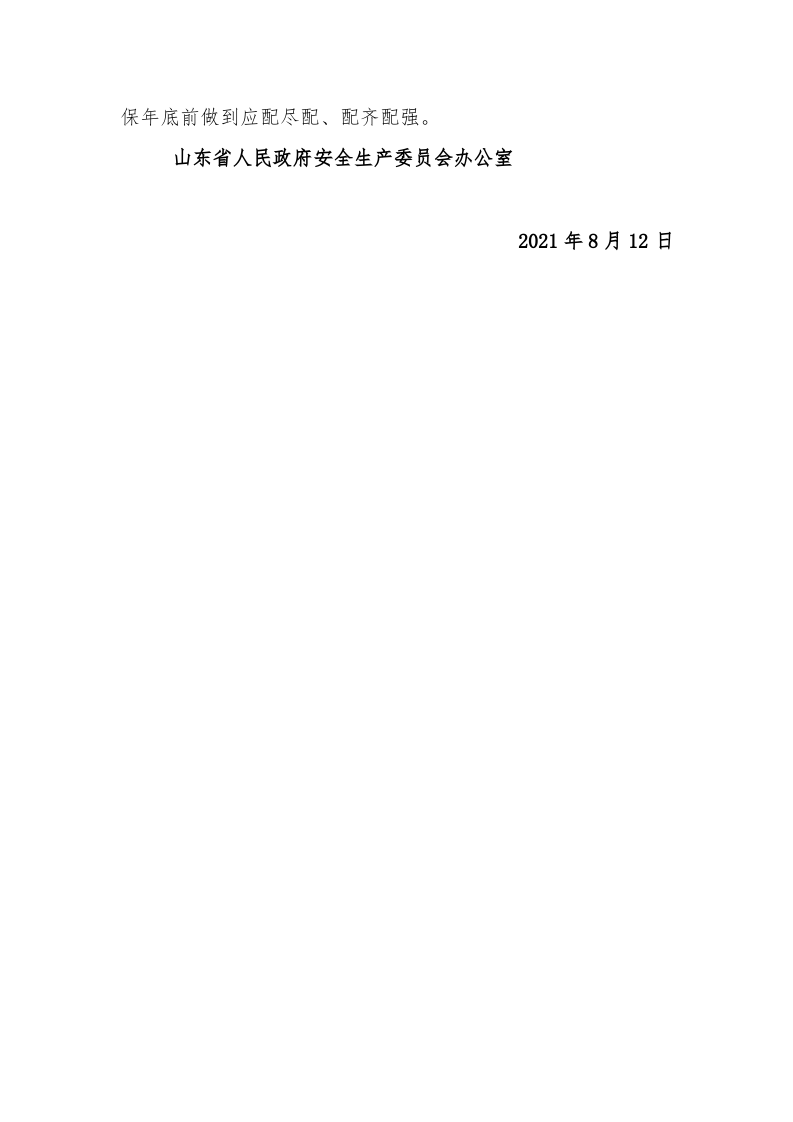 【安全总监文件】山东省关于贯彻落实《山东省生产经营单位安全总监制度实施办法（试行）》的通知.docx 第6页