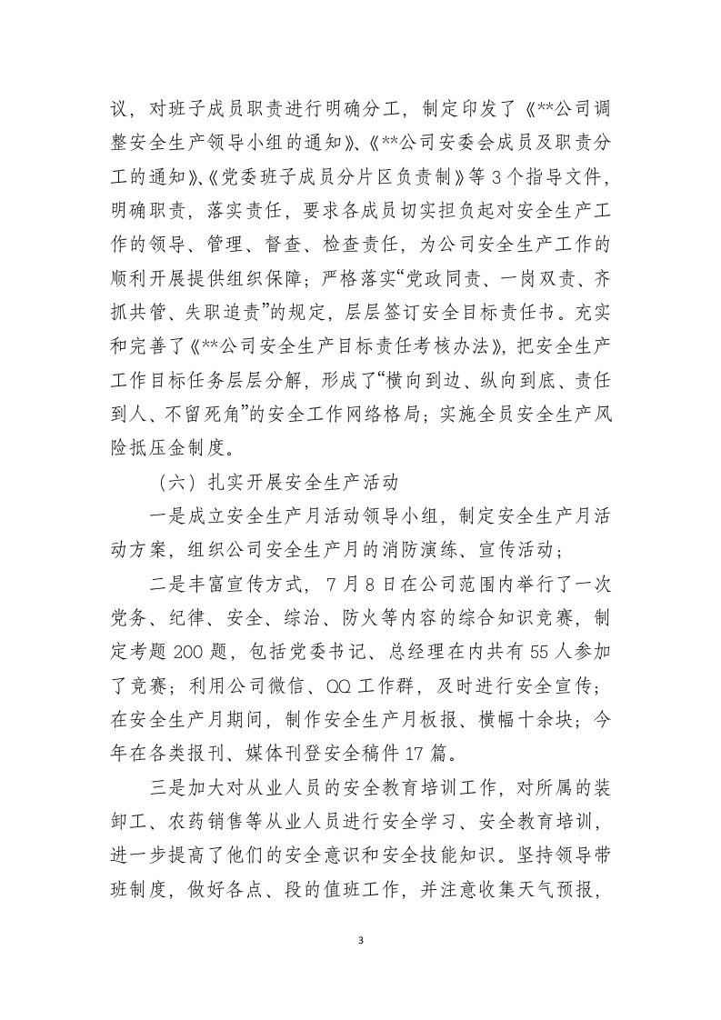 【模板】公司2024年安全生产工作总结.docx 第3页