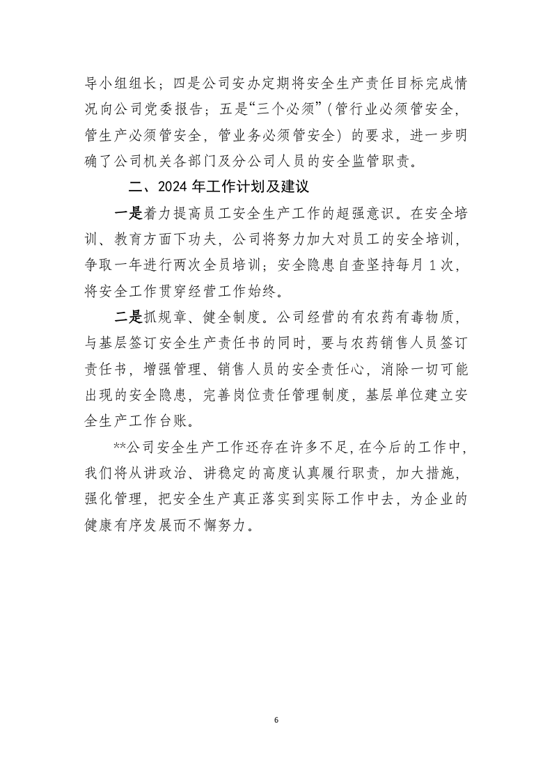 【模板】公司2024年安全生产工作总结.docx 第6页