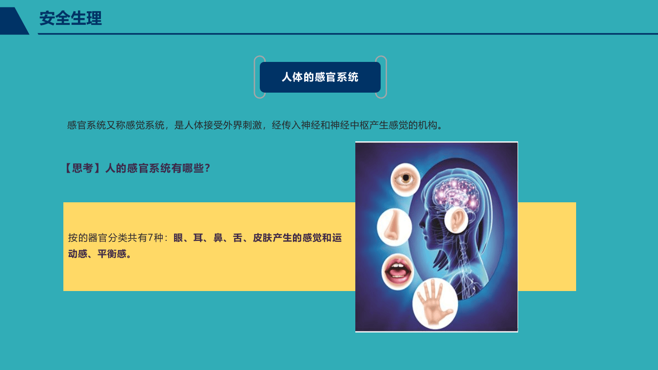 安全心理、生理培训教材PPT.pptx 第6页