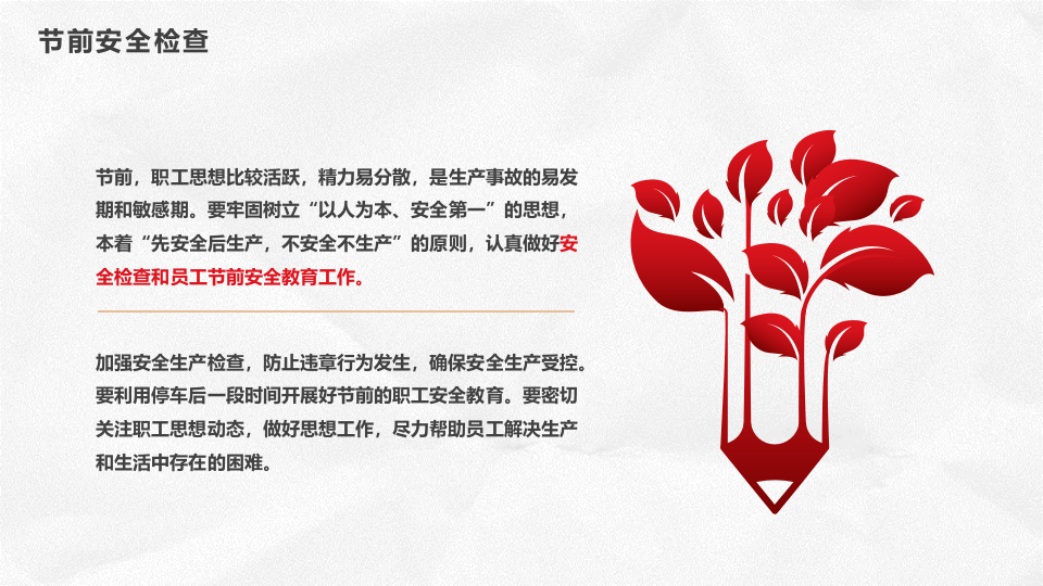 春节节前安全检查与假日安全提示.pptx 第5页