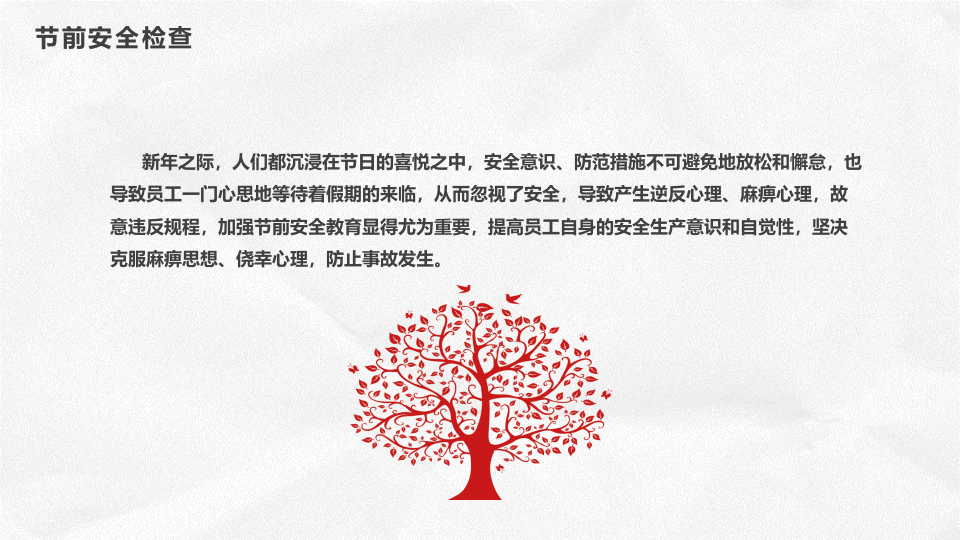 春节节前安全检查与假日安全提示.pptx 第6页
