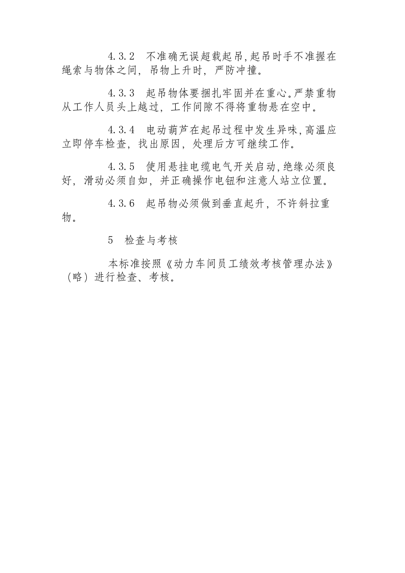 某公司动力车间电动葫芦安全操作.docx 第3页